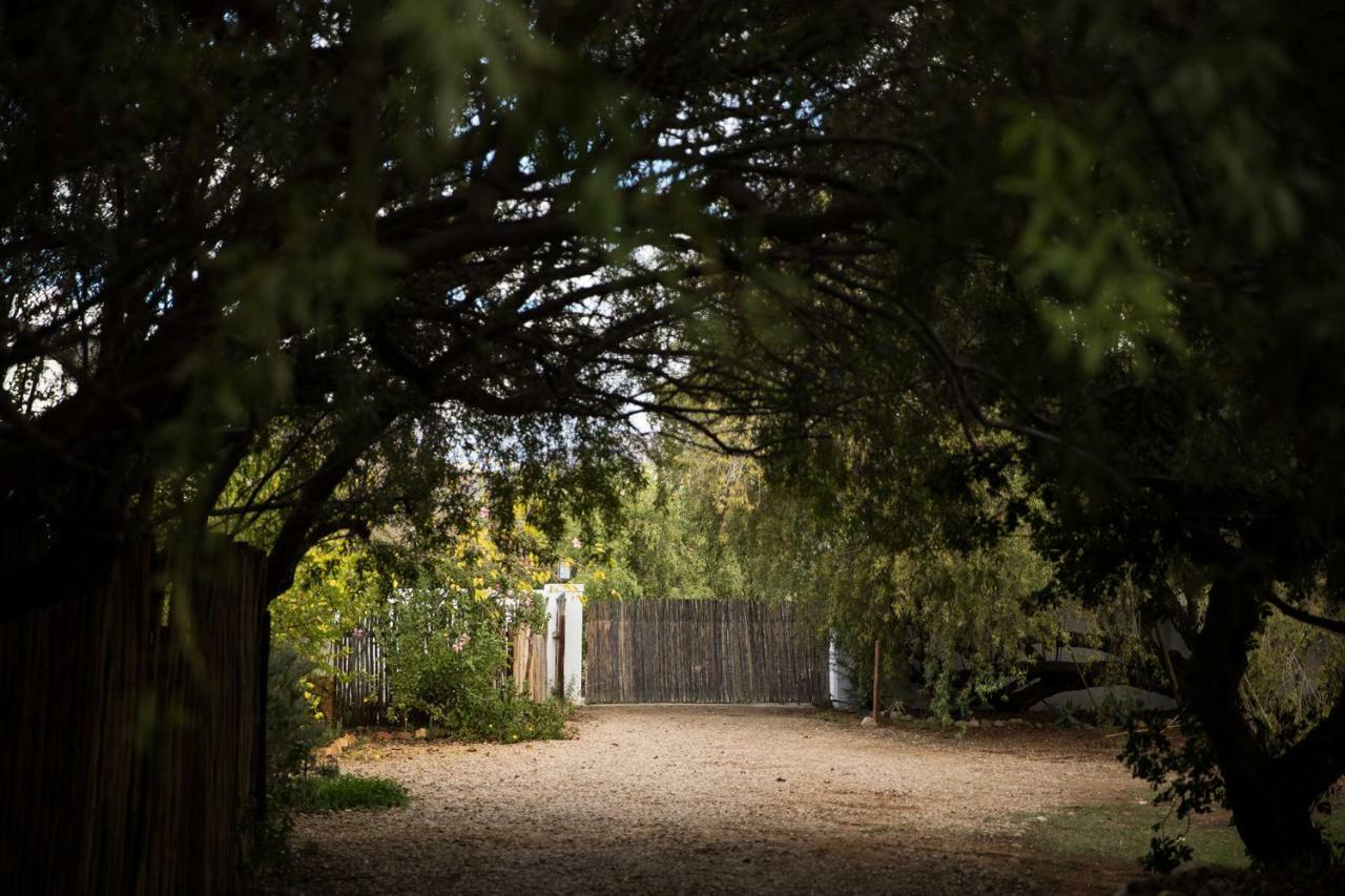 The Olive Thrush Cottage Prince Albert Exterior photo